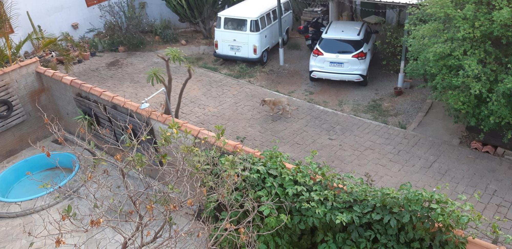 Ferienwohnung Chacara Famille Brun São João da Boa Vista Exterior foto